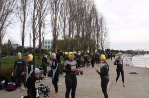 Our first open water swim at Redwood Shores Lagoon.
